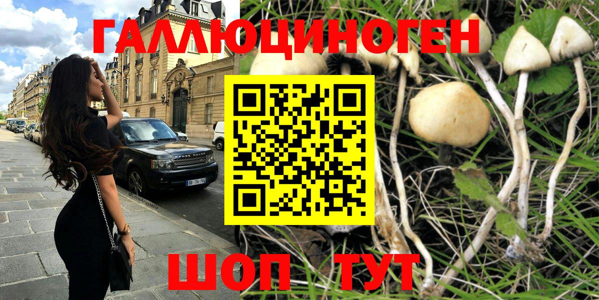 Углич  Псилоцибиновые грибы мухоморы  Вход с VPN  Галлюциногенные грибы прущие грибы 