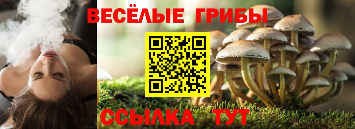 Галлюциногенные грибы GOLDEN TEACHER Углич