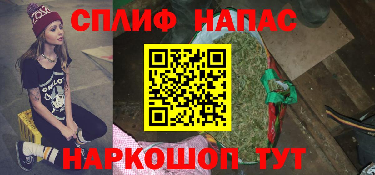 Каннабис конопля Углич