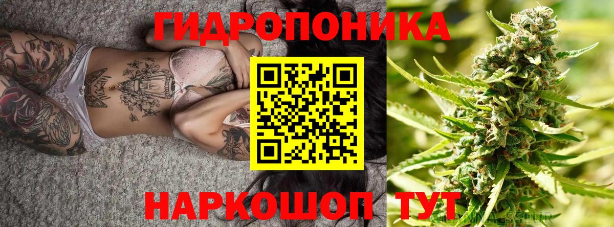 Канабис ГИДРОПОН  Шишки марихуана OG Kush  Шишки марихуана план  Вход с VPN  Углич  Бошки марихуана Bruce Banner 